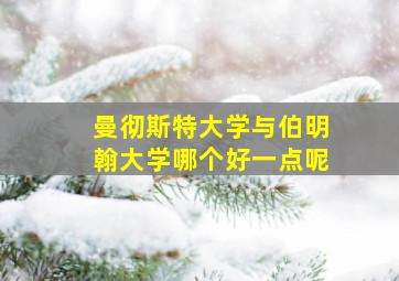 曼彻斯特大学与伯明翰大学哪个好一点呢