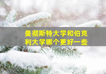 曼彻斯特大学和伯克利大学哪个更好一些