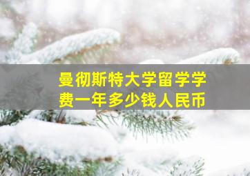 曼彻斯特大学留学学费一年多少钱人民币