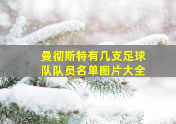 曼彻斯特有几支足球队队员名单图片大全