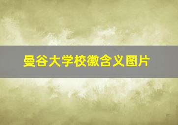 曼谷大学校徽含义图片