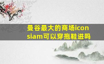 曼谷最大的商场iconsiam可以穿拖鞋进吗