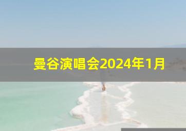 曼谷演唱会2024年1月