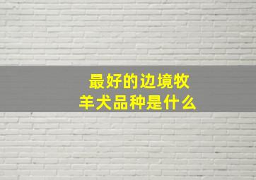 最好的边境牧羊犬品种是什么