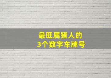 最旺属猪人的3个数字车牌号