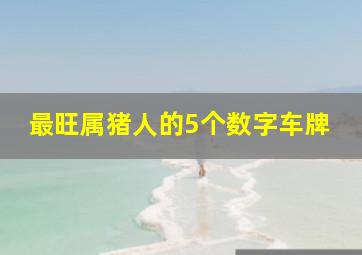 最旺属猪人的5个数字车牌