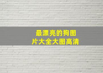 最漂亮的狗图片大全大图高清