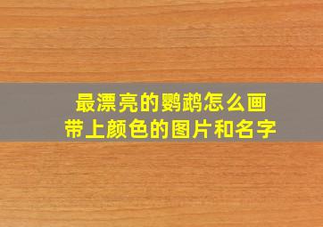 最漂亮的鹦鹉怎么画带上颜色的图片和名字