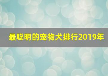 最聪明的宠物犬排行2019年