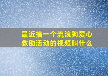 最近搞一个流浪狗爱心救助活动的视频叫什么