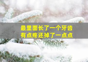 最里面长了一个牙齿有点疼还掉了一点点