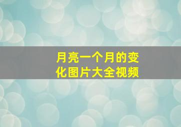 月亮一个月的变化图片大全视频