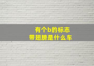 有个b的标志带翅膀是什么车