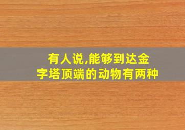 有人说,能够到达金字塔顶端的动物有两种