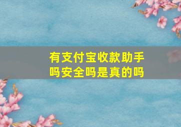 有支付宝收款助手吗安全吗是真的吗