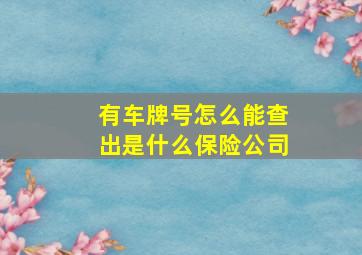 有车牌号怎么能查出是什么保险公司