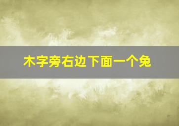 木字旁右边下面一个兔