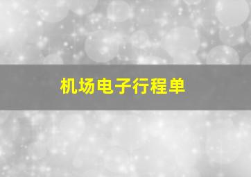 机场电子行程单