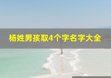 杨姓男孩取4个字名字大全