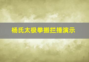 杨氏太极拳搬拦捶演示