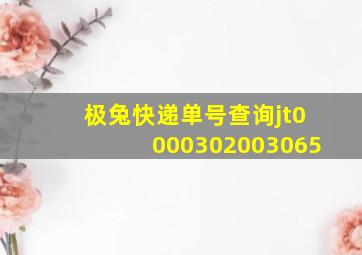 极兔快递单号查询jt0000302003065