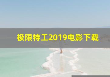 极限特工2019电影下载