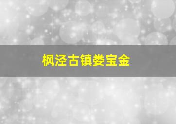 枫泾古镇娄宝金