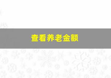 查看养老金额