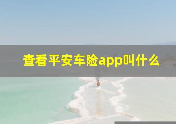 查看平安车险app叫什么