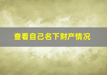 查看自己名下财产情况