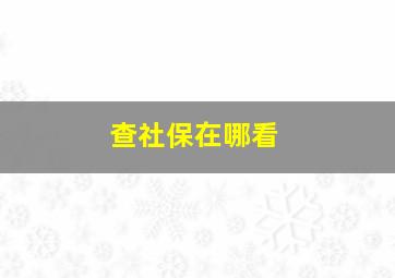 查社保在哪看