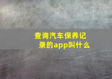 查询汽车保养记录的app叫什么