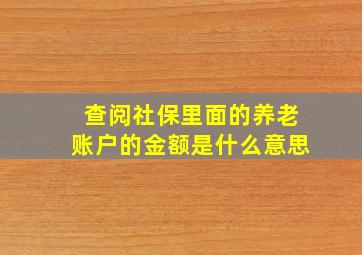 查阅社保里面的养老账户的金额是什么意思