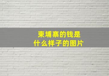 柬埔寨的钱是什么样子的图片