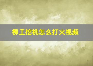 柳工挖机怎么打火视频