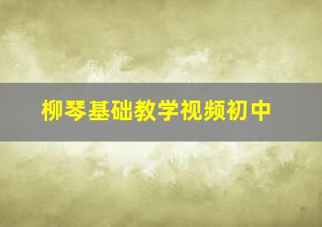 柳琴基础教学视频初中