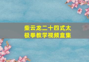 柴云龙二十四式太极拳教学视频盒集