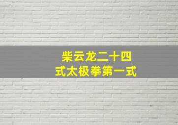 柴云龙二十四式太极拳第一式