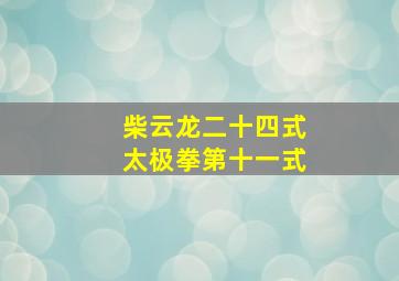 柴云龙二十四式太极拳第十一式