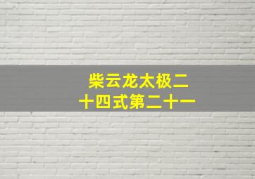 柴云龙太极二十四式第二十一