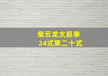 柴云龙太极拳24式第二十式