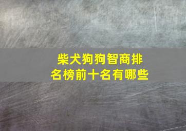 柴犬狗狗智商排名榜前十名有哪些