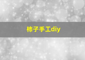 柿子手工diy