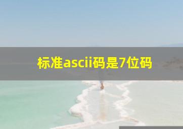 标准ascii码是7位码