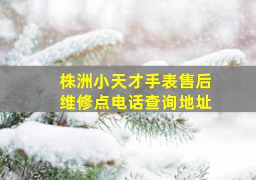 株洲小天才手表售后维修点电话查询地址