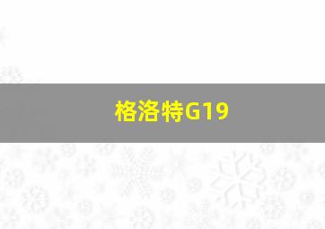 格洛特G19