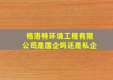 格洛特环境工程有限公司是国企吗还是私企