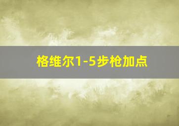 格维尔1-5步枪加点