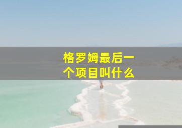 格罗姆最后一个项目叫什么