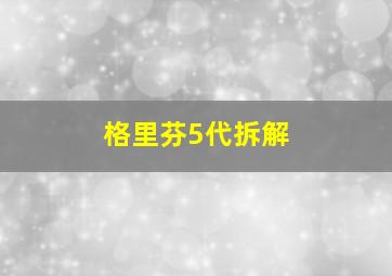 格里芬5代拆解